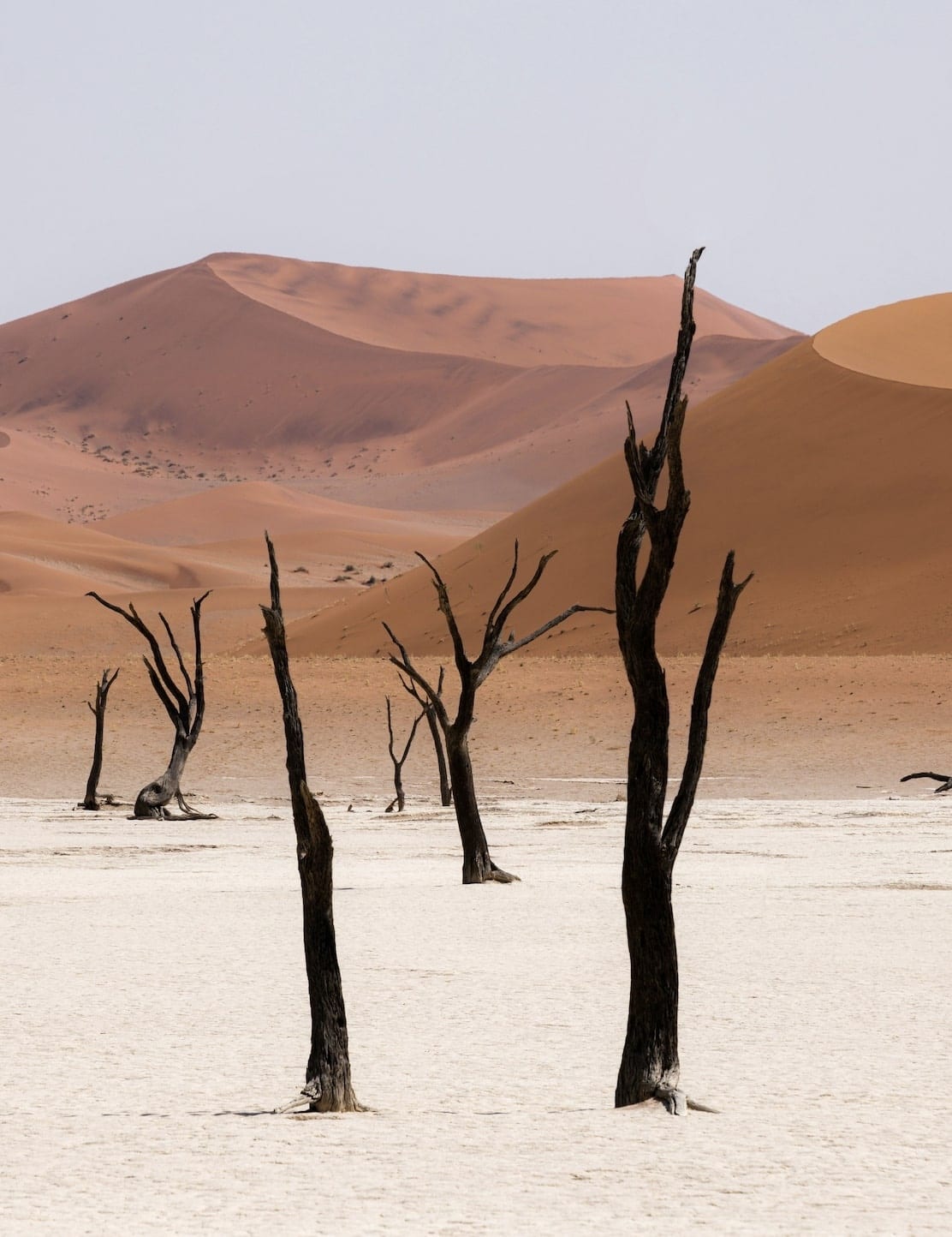 Deadvlei in Namibia has the worlds tallest sand dunes and the 